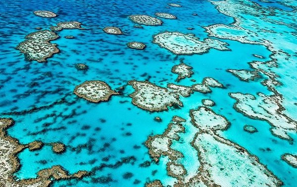 croisiere-plongee-australie-grande-barriere-de-corail