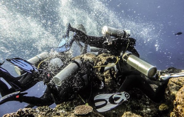 plongee-dandereuse-komodo-cauldron-shut-gun