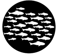 logo-plongee-banc-de-poissons