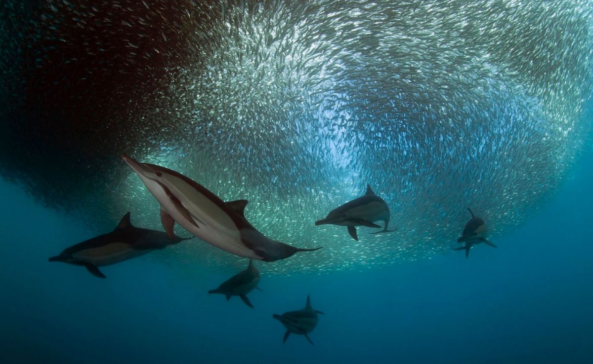 meilleure-croisiere-au-monde