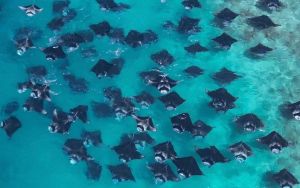 croisiere-plongee-maldives-nord-baa-atoll-hanirafu-bay