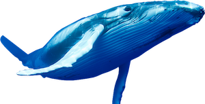 logo-plongee-baleine