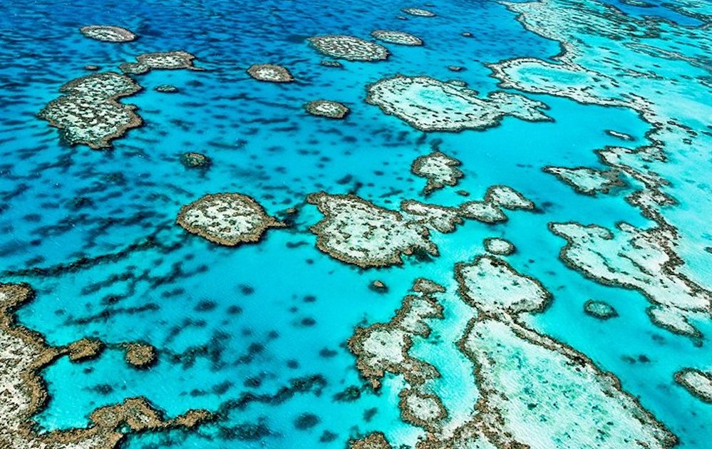 croisiere-plongee-australie-grande-barriere-de-corail