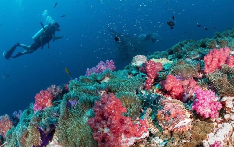 croisiere-plongee-birmanie-myanmar-archipel-mergui