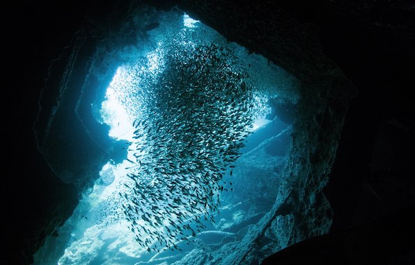 plongee-egypte-epave-dunraven