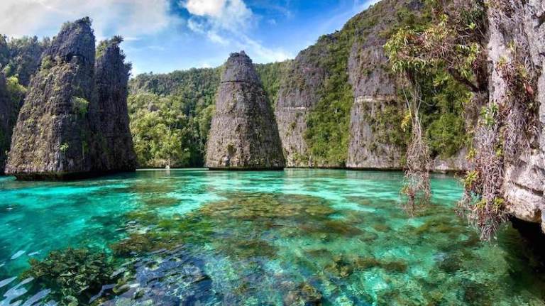 croisiere-plongee-raja-ampat-indonesie-balbulol