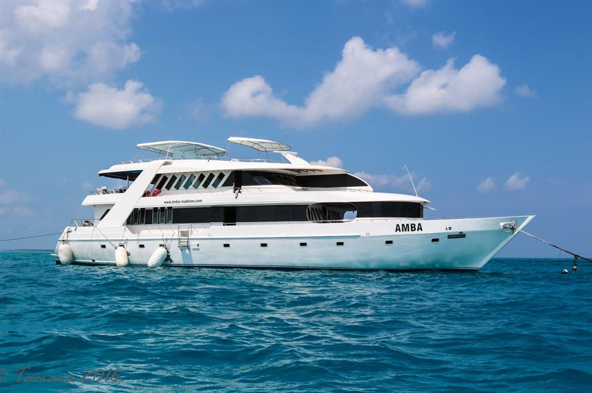bateau-croisiere-plongee-maldives-amba